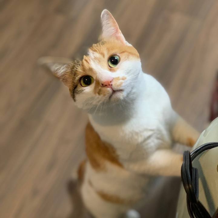 2322a9bc 6f50 4c53 9f99 c592f20f3f45 1652106173171