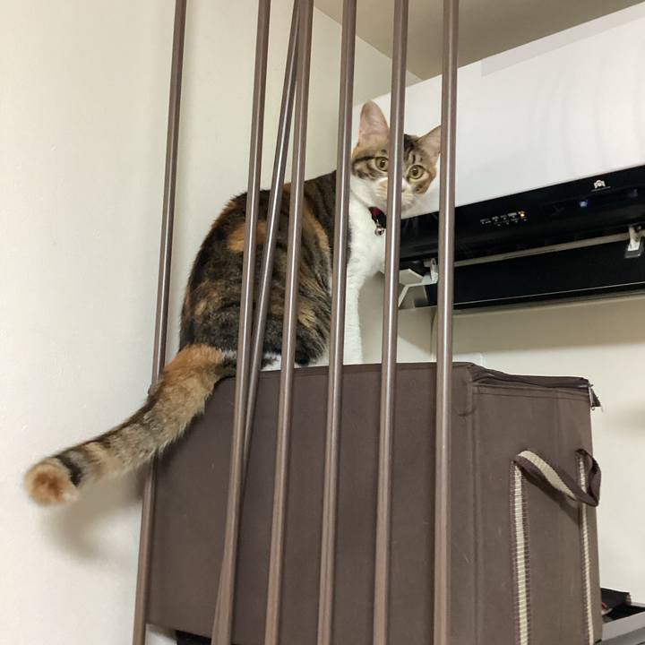 2322ada1 a2a2 4a40 b693 55485c1df0be 1670325042646