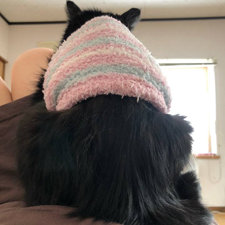 2322c43b cc26 44cd bd72 696e29126a12 1642292383806