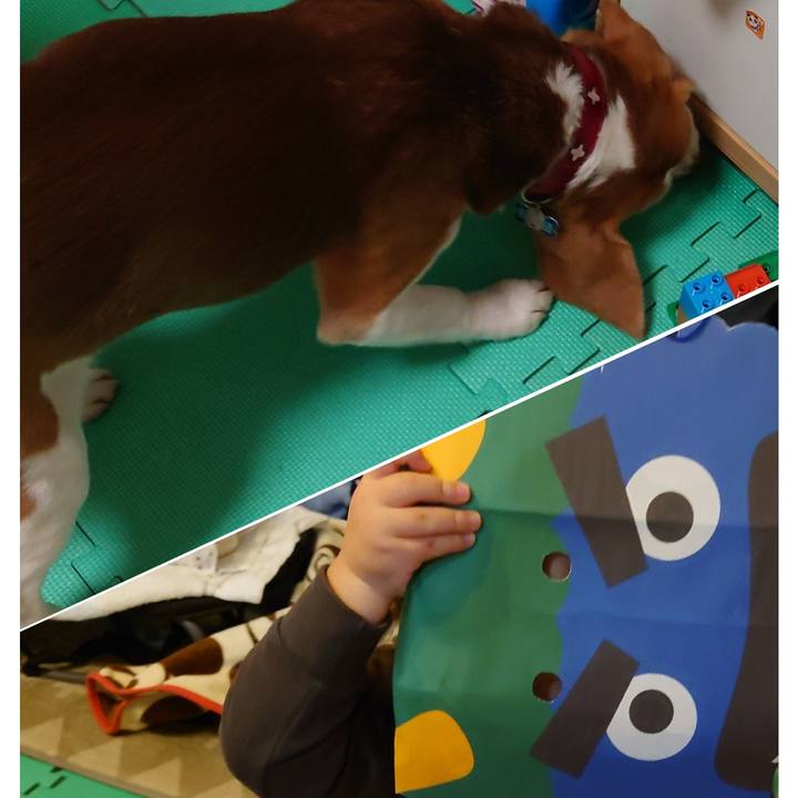 2322f619 977e 4f3a 9510 6c3c165d9d74 1738484352463