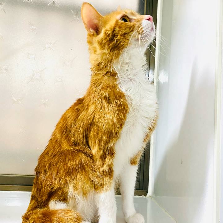 23230fef 5af8 4b0b 8f61 68c57caa893d 1676799632603