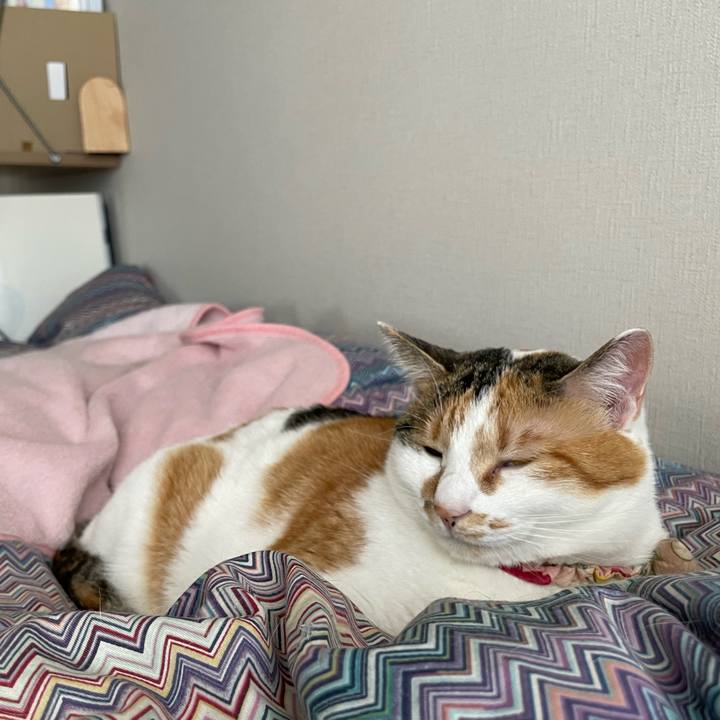 23231170 81bb 47d5 9daf 6de460001237 1649468630875