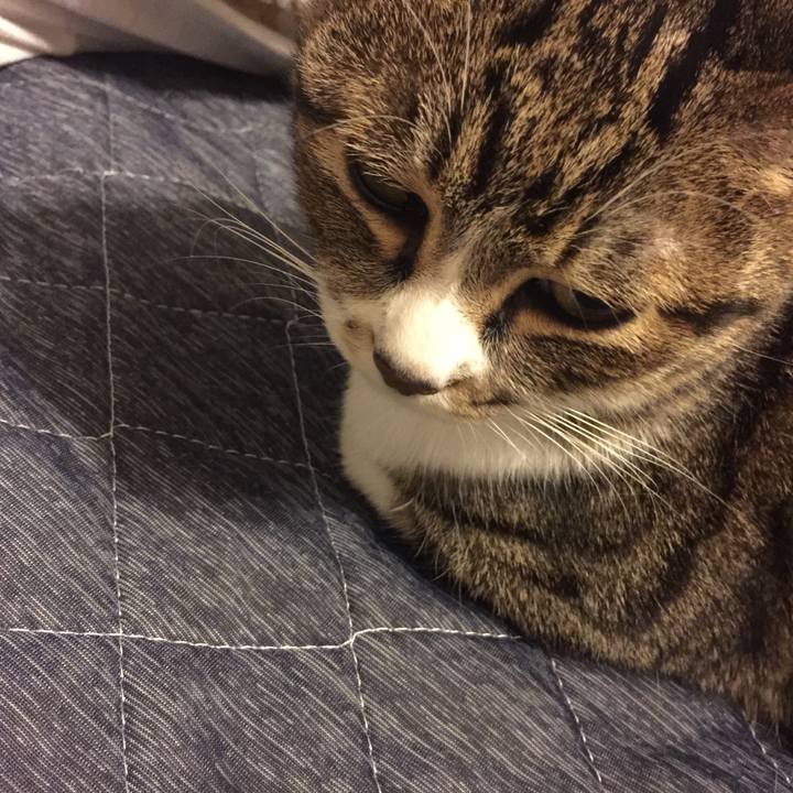 2323177a 3788 4fe4 b959 662ef68f90f7 1555422721156