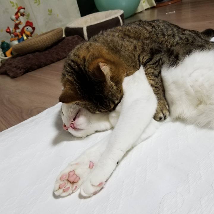 23232214 c0e2 458b 8c8d 4a9e67b65f7d 1612470097122