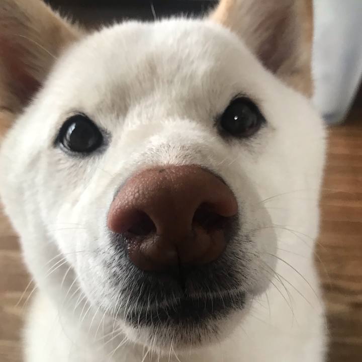 232323c6 43af 4774 84ad fd7b70b784a4 1560123798159