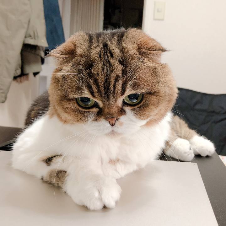 23233dcf 13bf 4c9e 9498 d2edf614f26a 1558516474566