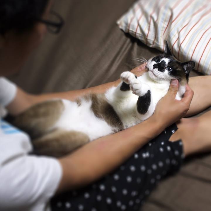 23236912 29ad 4090 87bd fa0d93d58735 1535632474628