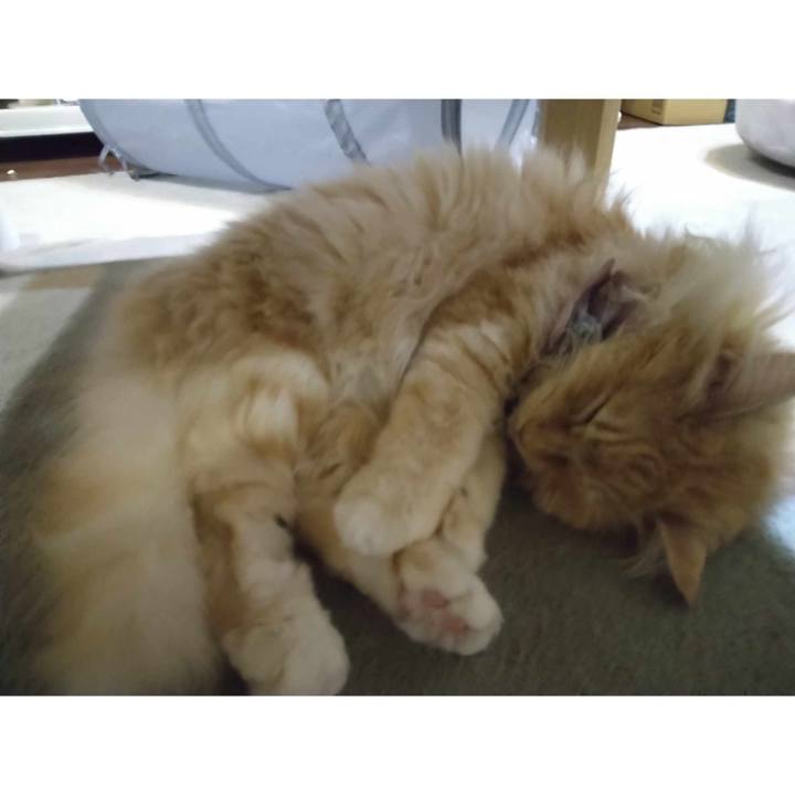 2323bc03 0bec 4b3e 9ae6 63f7855b968a 1718454397826