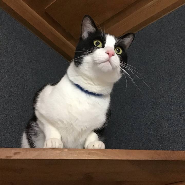 232430ce 2e44 423d 943a b37a3adeca8a 1706271687446