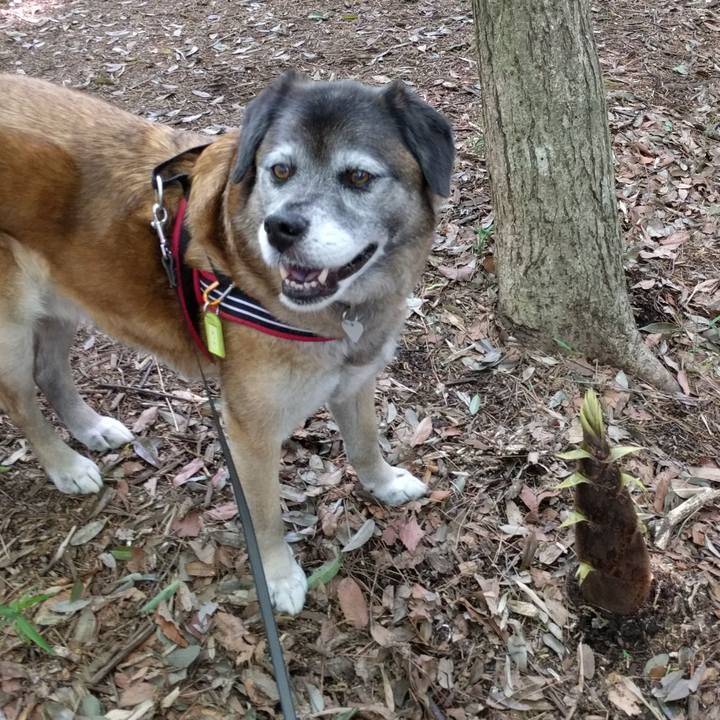 232438ef 4abd 48ab a461 0ae2fd177dfc 1524702363800