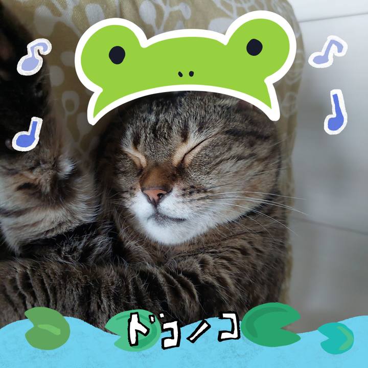 23247705 eb21 4cc8 8d0c 0f1c79d4c1fe 1718002690740