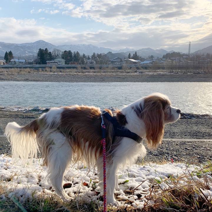 23248b40 0b7e 4674 b294 22715c872c3a 1584398885084