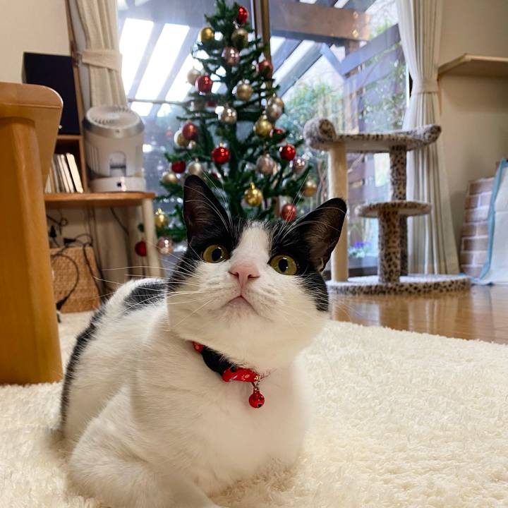 2324a4f2 6eac 47fb b44e 77db030765e2 1638330190266