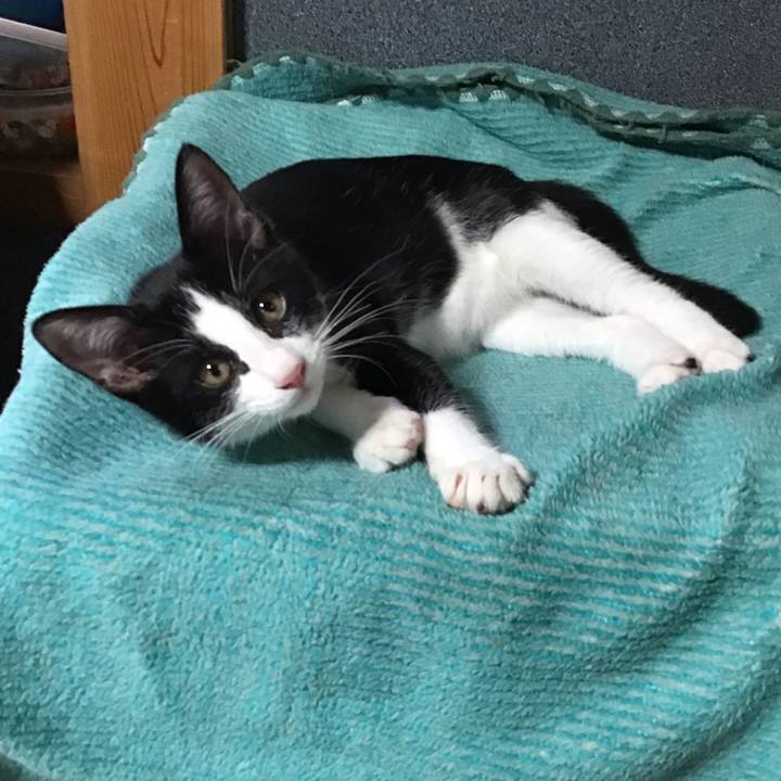 2324ae3e 6ece 485d a67c cf4dac261cd5 1627373014269