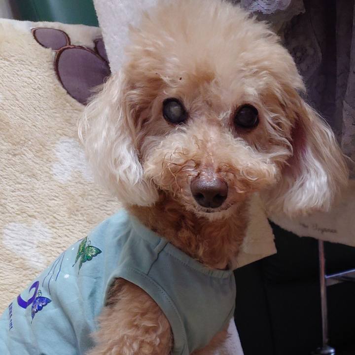 2324b12b 75a5 4b08 b6de 99a9b2fa55dc 1699053955498