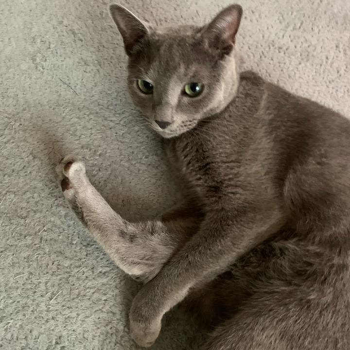 2324d15e 1246 46d4 abf3 3462d6bcc470 1633526418952