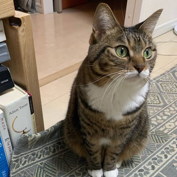 2324f869 dedf 4374 bd68 8019519caa0e 1638795613061