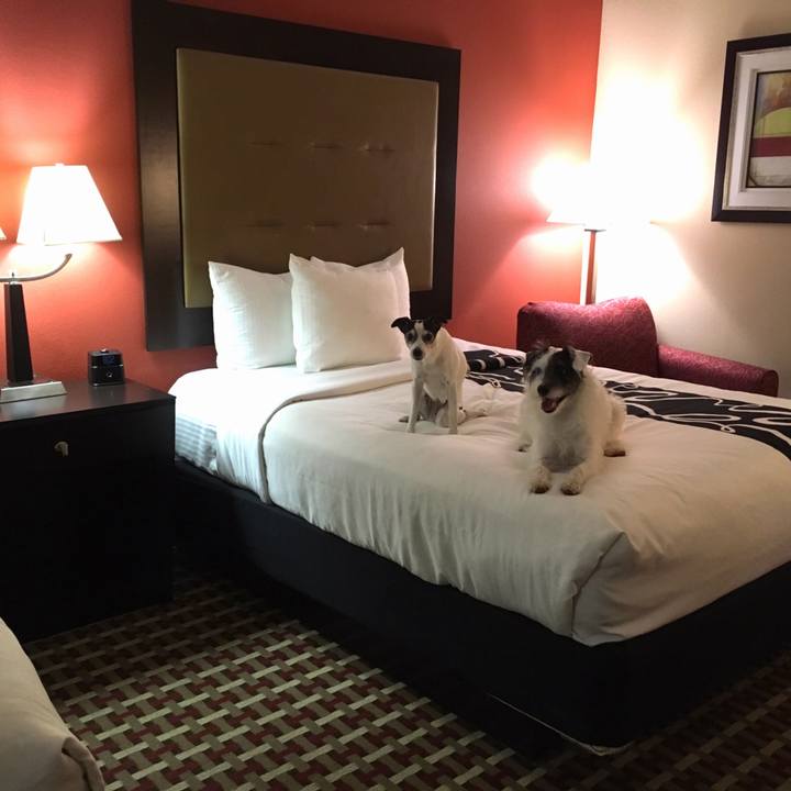 2324fd02 b168 4aea a08a 79a965fd2161 1542599624898