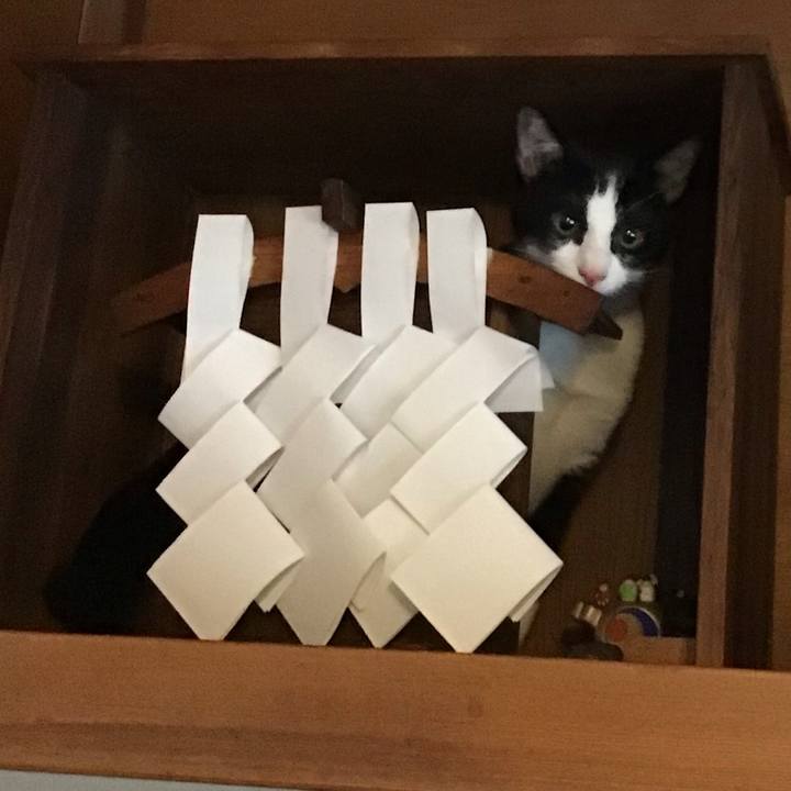 23250f7a b73d 45e4 9de2 91609014186e 1630372253904