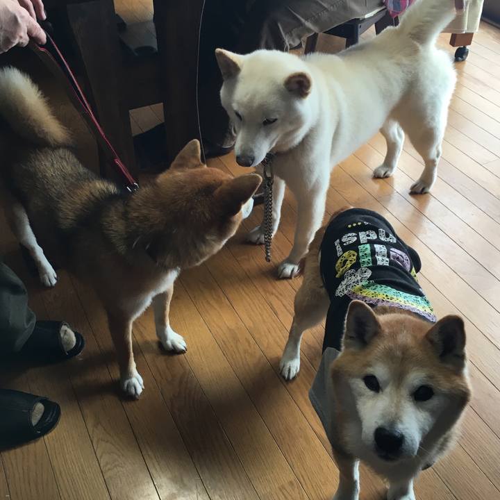 23252185 6a52 42b8 93f4 c52acd50fb7e 1534896322803