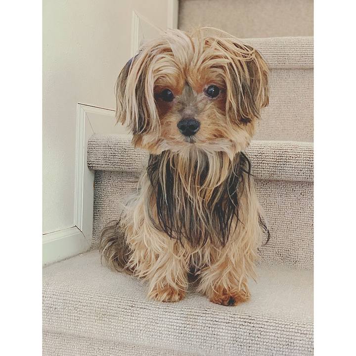 232526b5 45ea 4b4e 9e15 0c27f91d6bc3 1546647512535