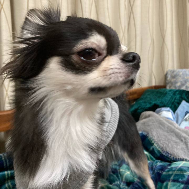 2325925c 0b89 4faf b548 1061c573dfdc 1641738227840