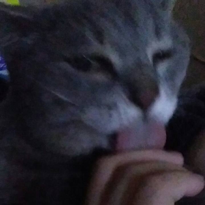 2325f110 8328 47fc a28e 257e2f2e1ba4 1592783533781