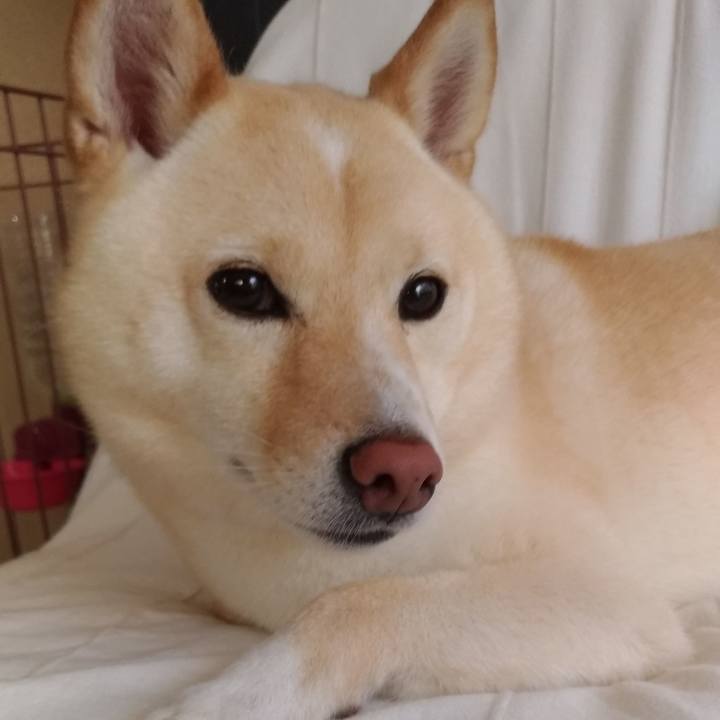 232640cf c304 4fa6 8730 09e32e829382 1596238278153