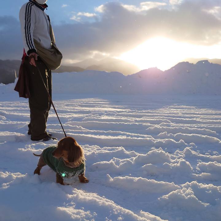 2326a381 3d05 498e 86e0 d6de068a630f 1641177729205