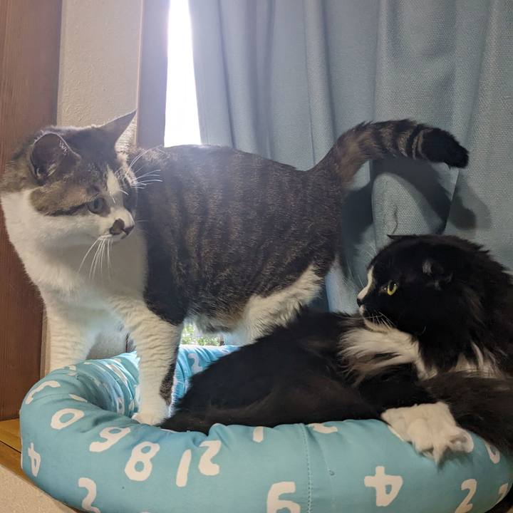 2326c226 0317 4d89 83be c91a99c8ce59 1712477432295