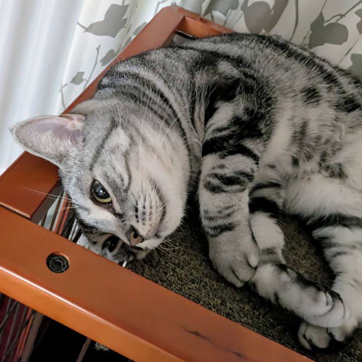 2326d18e 649e 4007 ad56 321fc8a07261 1760529421118