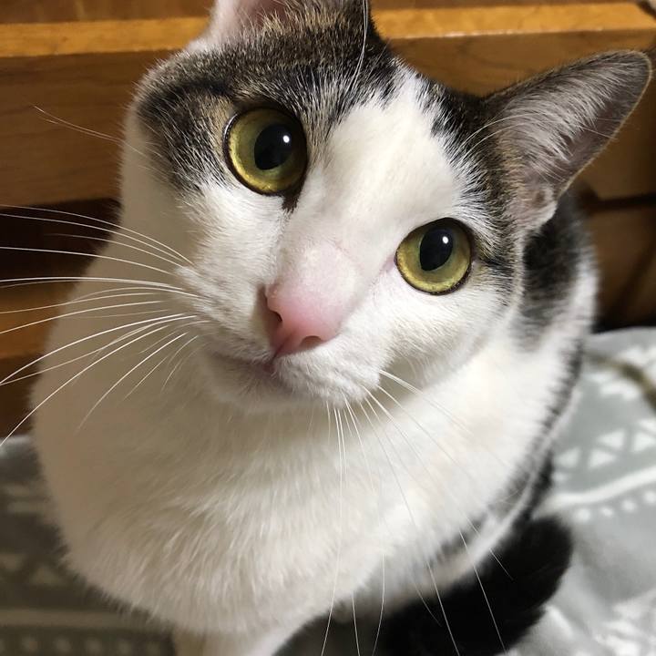 2326f26f c8c6 4dc7 b978 2ae9a1687bee 1609077079404