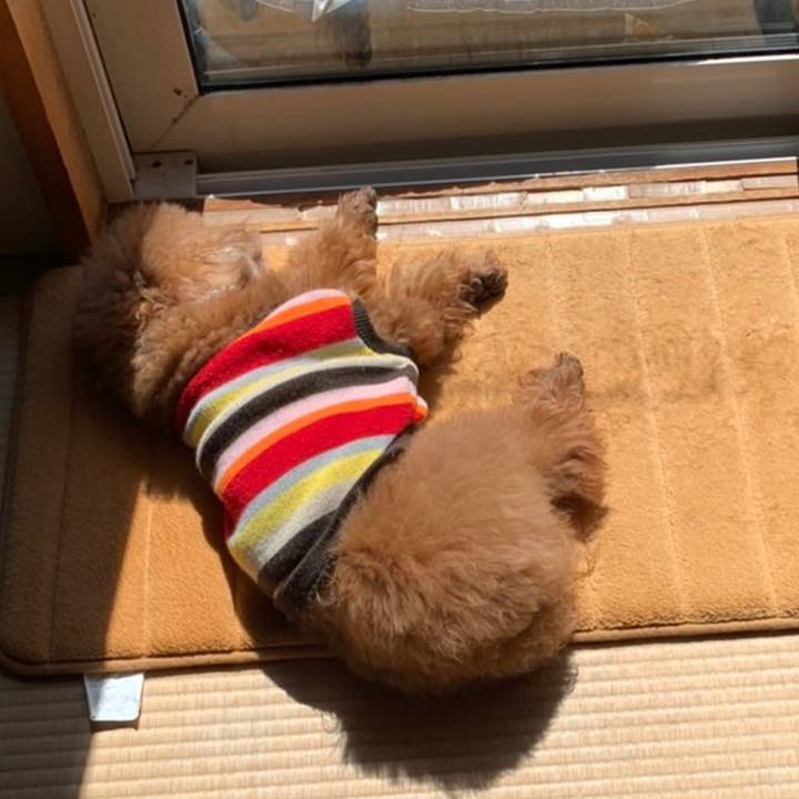 2326fb81 6592 4bfa 8a65 4d8a66d2c6cb 1584261312454