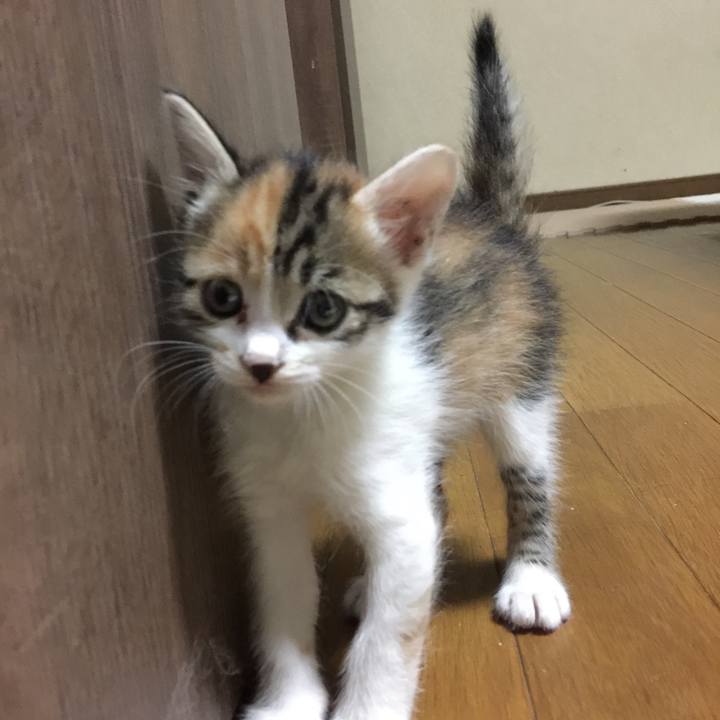 23272704 deba 4d16 a592 c10ef255b5af 1628163437154