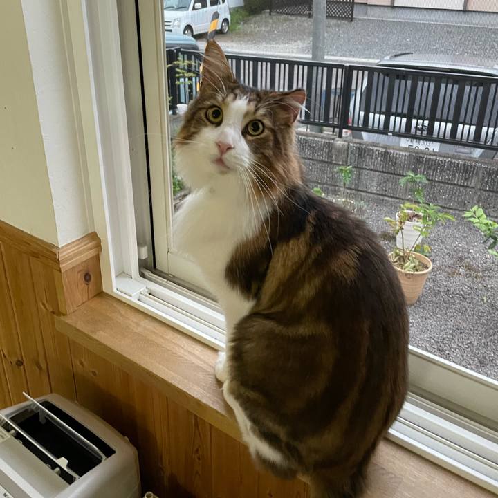 2327a1bd 0d16 48aa b624 e3d5599af26b 1663014726391