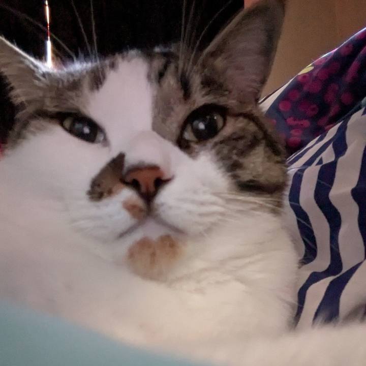 2327a2bb 3cf8 4c0c 9ee9 1588ed82b634 1750566783602