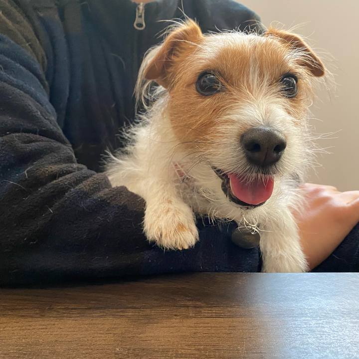 2327b563 afa1 4020 91fa a23e41c38960 1614388481236