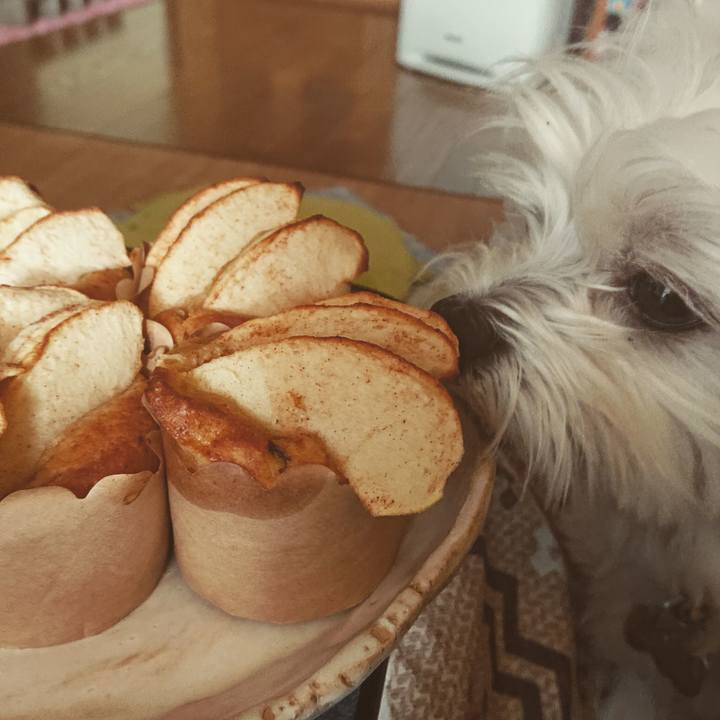 2327ccfb 028b 4e56 94c2 7dca9940c035 1543468035207