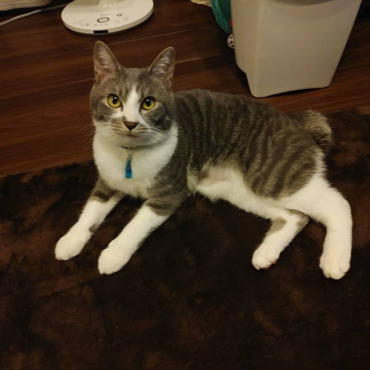 2327ef98 6251 4966 a34f dd8539e7bad0 1586166391744