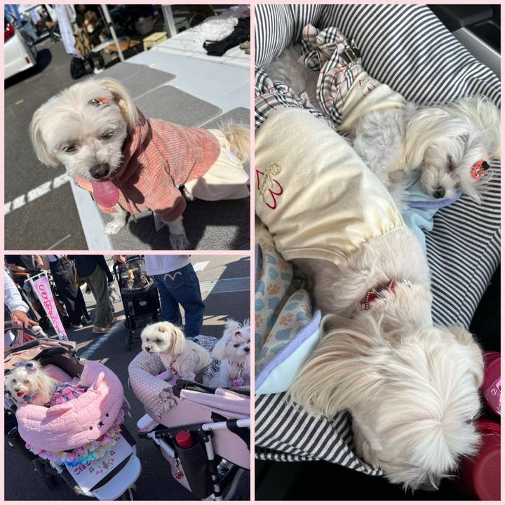 2327f663 99f5 423a 8f83 22a74a18a7d3 1728735288191