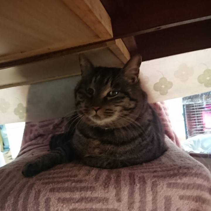 23281c33 6d0a 40a7 8c2b 5dc10795eb54 1641691497481