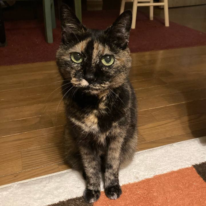 23281dd2 245a 430f a9ae 6450f3455c30 1623460821502