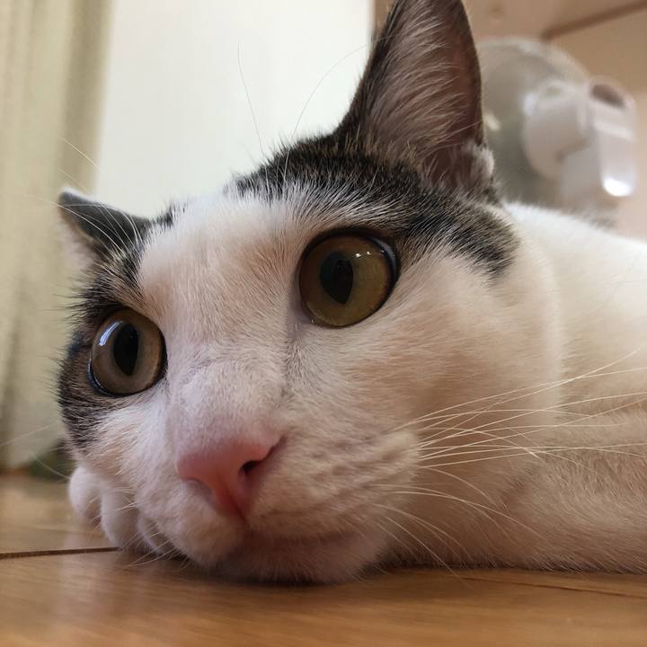 232827e4 687b 46c4 a248 c0963a760d31 1597670564912