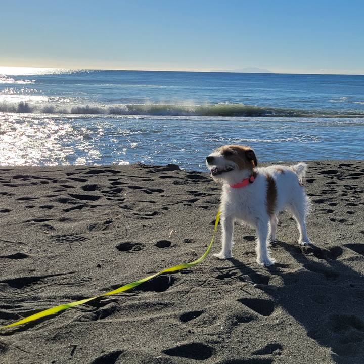 23284a2b 951a 448e b976 921bfea254ea 1700351041480