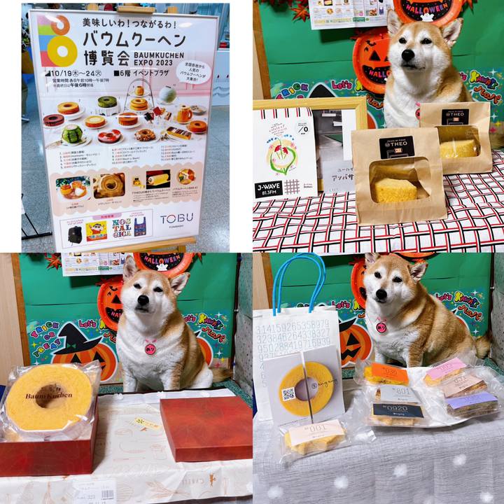 232877f4 7a69 4a09 995e 6809b850f933 1697790835516