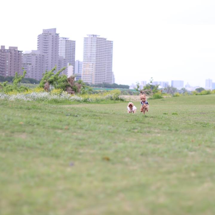 23288636 f687 489b aeb6 0cbb11ca1aa5 1588512932180