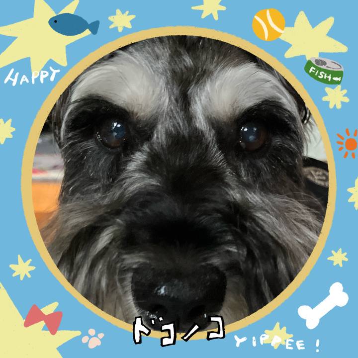 232891ef 224f 41c1 8e97 3ce0657b8540 1720820252646