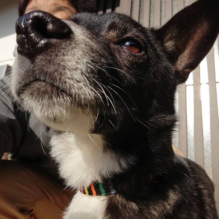 23289284 2bbd 4462 99fd fc2a4dd56163 1584919902373