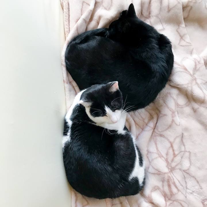 2328aa01 feff 40d5 8737 76df6d776962 1513501068318