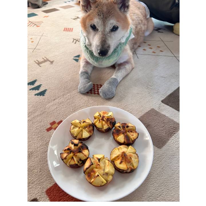 2328abad 170b 437b abdd 45e379a09020 1765191899641